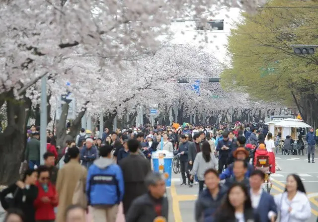 汝矣島の桜まつり、弾劾審判により「延期」＝韓国ソウル市