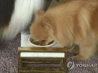 飼い犬を殺した父親を警察官の前で刺傷　娘に懲役３年の実刑判決＝韓国