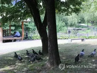 韓国・ソウル市　有害野生動物への餌やり禁止区域指定