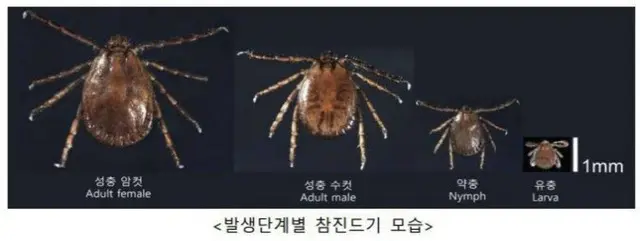 ワクチンも治療剤もない「致死率18.5％」SFTS患者発生＝韓国