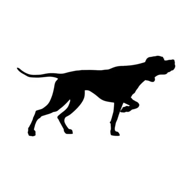 育犬農場の犬7匹を「殺虫剤入りのエサ」で死なせた食堂のオーナー＝韓国