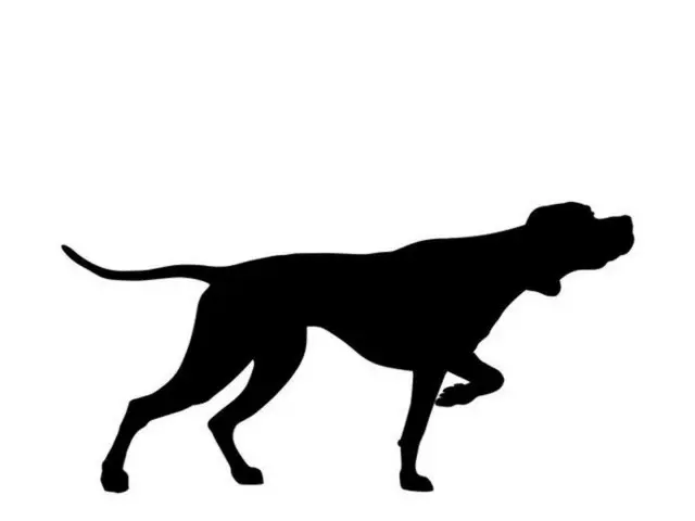 育犬農場の犬7匹を「殺虫剤入りのエサ」で死なせた食堂のオーナー＝韓国