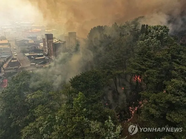 住宅街に迫る大邱の山火事＝２８日、大邱（聯合ニュース）