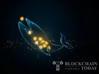 ビットコイン高値以降、「クジラ」売りが続く…8年間で保有量40％減少
