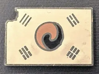 李在明大統領の胸に付けられた「破れた太極旗」の意味とは？＝韓国