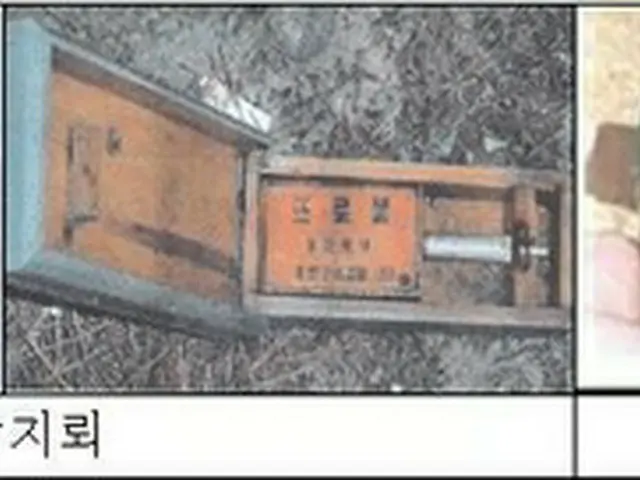 梅雨シーズン「北朝鮮地雷に注意」　木の葉の形も＝韓国軍