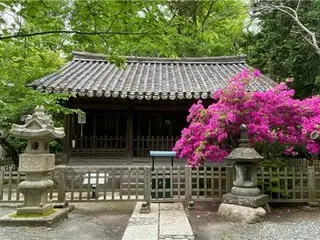 鎌倉大仏殿高徳院の「観月堂」　１００年ぶりに韓国に