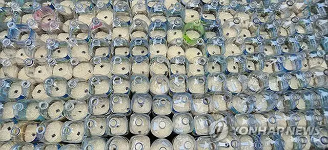 昨年６月、脱北者団体が江華郡から北朝鮮に向けて放流したコメ入りペットボトル（提供写真）＝（聯合ニュース）≪転載・転用禁止≫