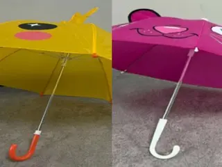 Temu、子ども用傘から「基準値444倍」発がん物質＝韓国