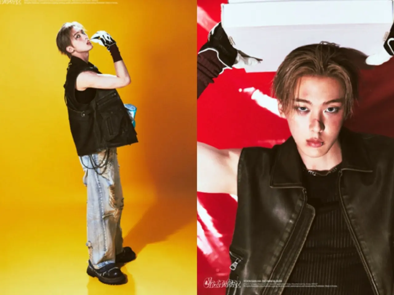 ASTRO's ゲーム・おもちゃ・グッズ astro ユンサナ chameleon