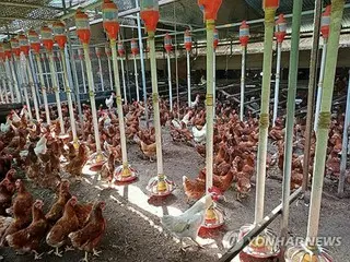 猛暑で１日に家畜１６万匹死ぬ　今季は前年の７．６倍＝韓国