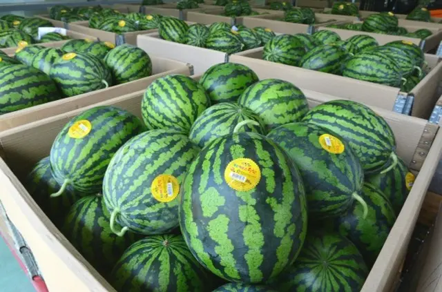 スイカ「3万ウォン」超えの衝撃、高騰の背景に何が＝韓国