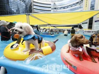 もうすぐ「処暑（陽暦の8月23日ごろ）」なのに猛暑続く…首都圏・江原を中心に警報