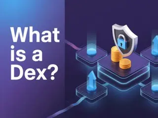 分散型取引所（DEX）、性能とアクセス性の間の戦略的選択