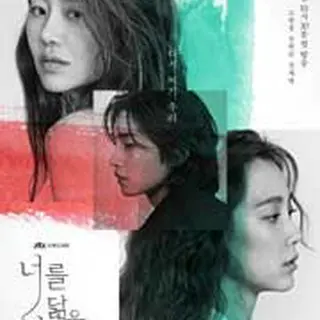 あなたに似た人