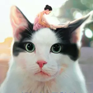 私と猫のサランヘヨ