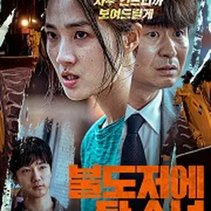 ブルドーザー少女