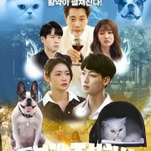 チューブペット株式会社