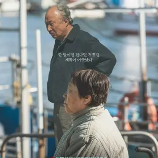 朝の海、カモメは