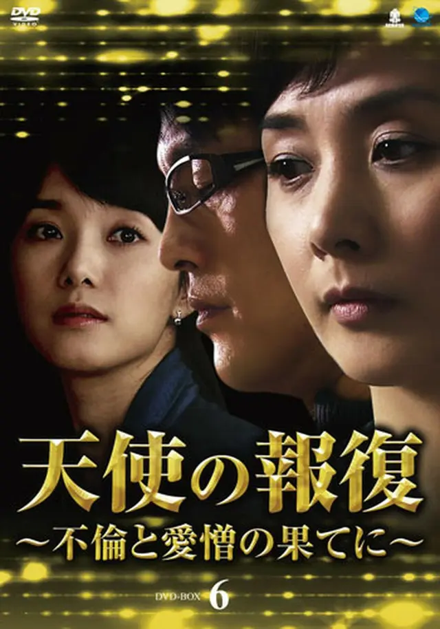 天使の報復 ～不倫と愛憎の果てに～ DVD-BOX６