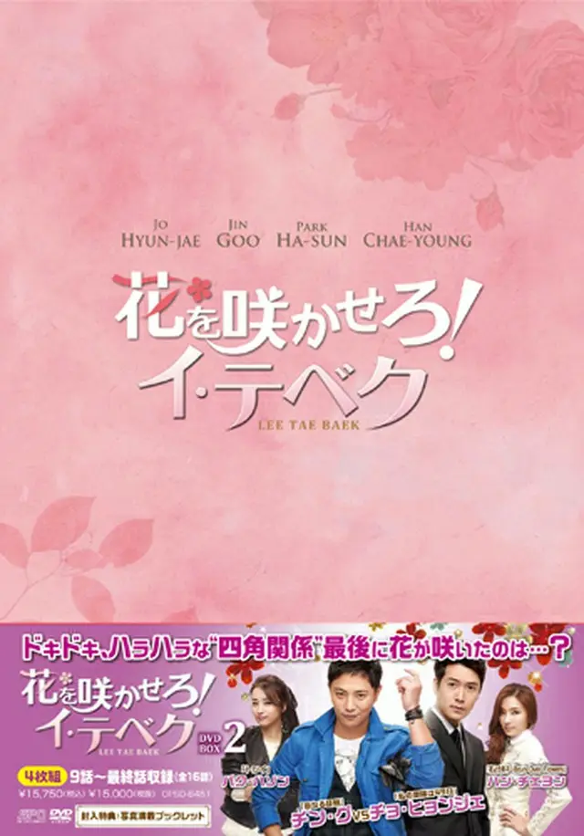 花を咲かせろ！イ・テベク DVD-BOX2