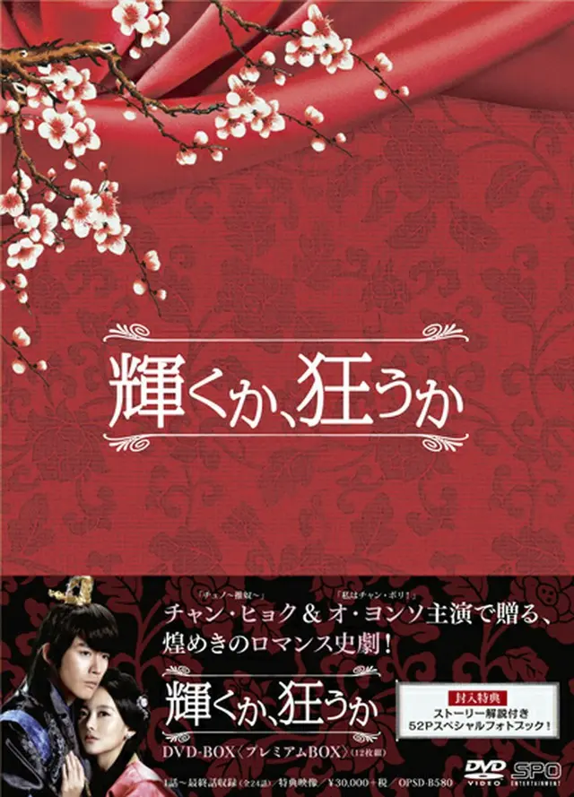 輝くか、狂うか　DVD-BOX＜プレミアムBOX＞