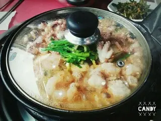 【韓国グルメ】タコとホルモンとエビの鍋が美味しい「ケミチプ」in釜山（プサン）