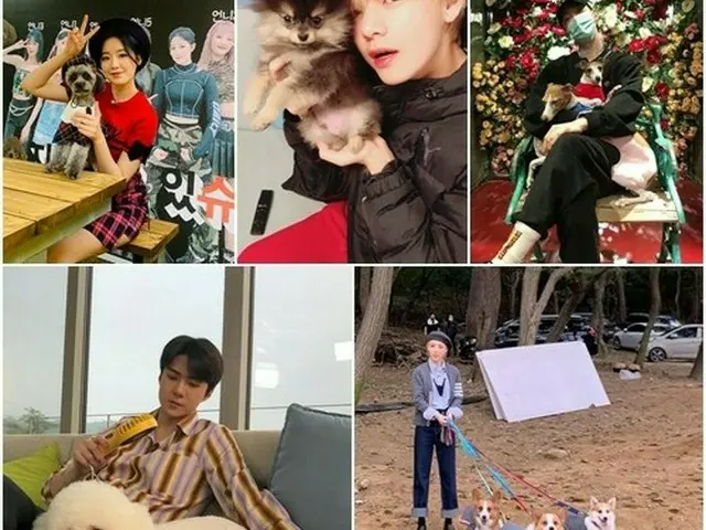 「EXO」セフンから「BTS（防弾少年団）」Vまで、“スターと愛犬”愛らしい組合せ