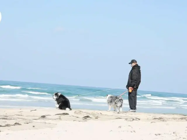 キム・ヒョンジュン（リダ）、愛犬たちと済州島の自然を満喫…”みなさんも、ヒーリングになったら”（動画あり）