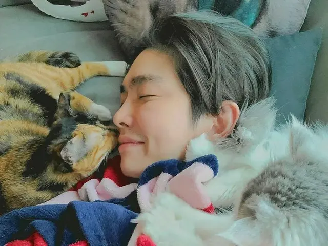 俳優ユン・ギュンサン、愛猫たちと過ごす幸せな日常