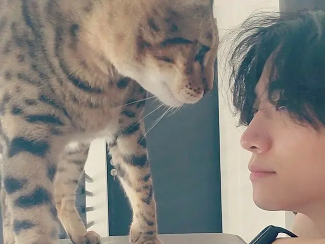 「2PM」ジュノ、愛猫との甘いアイコンタクト…和やかな雰囲気が視線を奪う