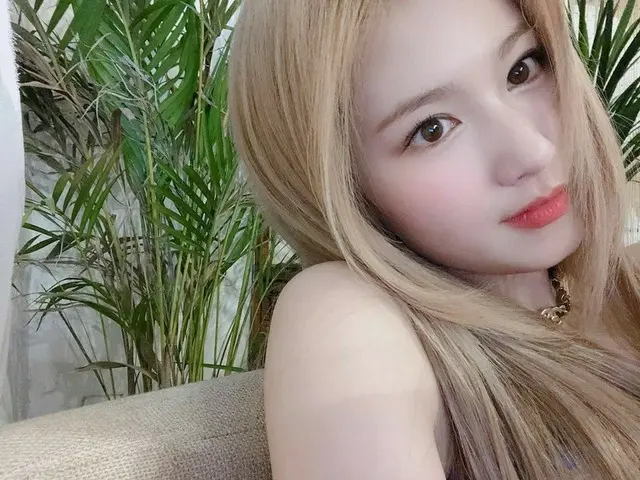 「TWICE」サナ、新曲公開D-1…より磨きのかかった美貌のセルフィーを大放出