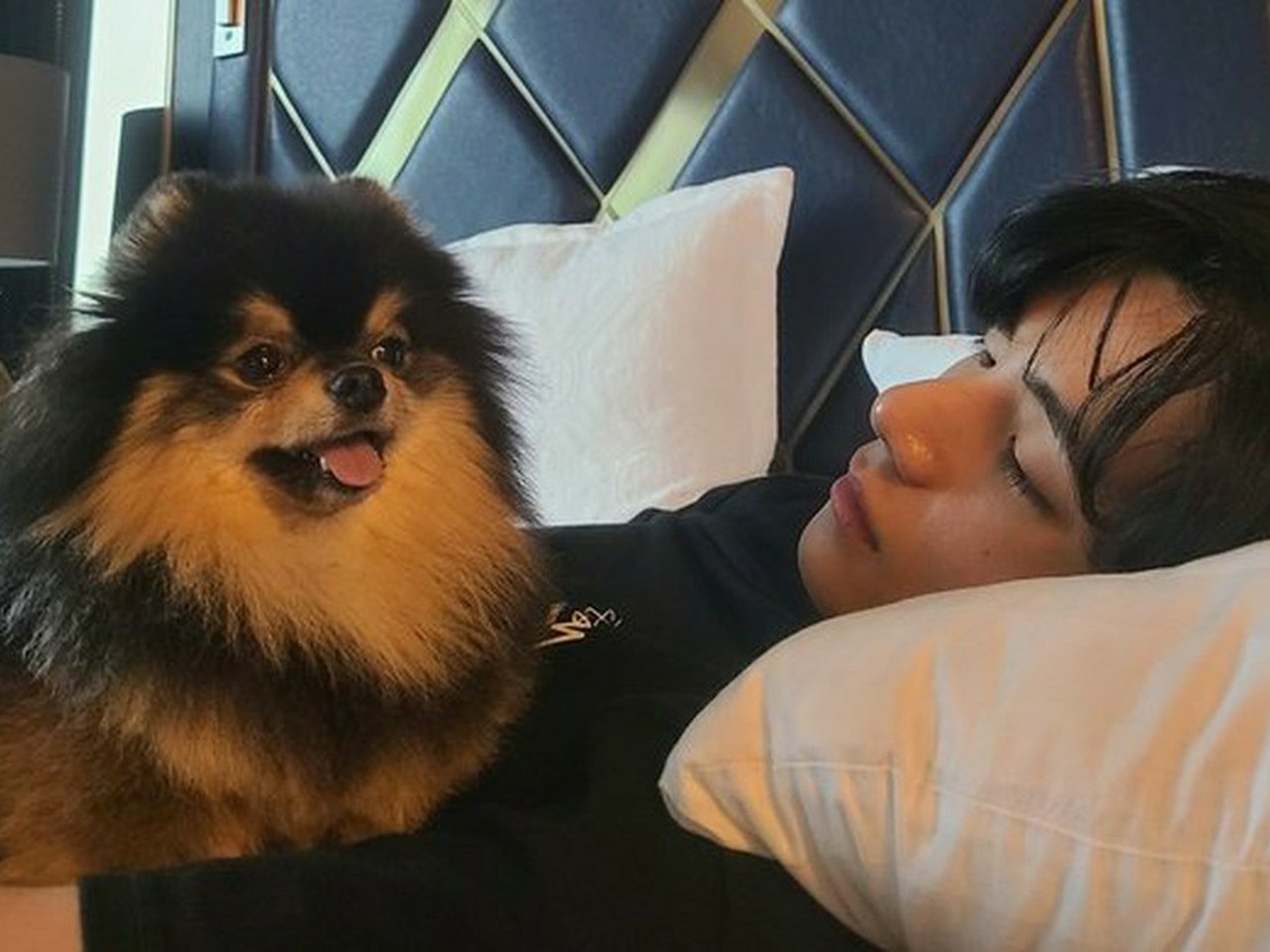 BTS(防弾少年団)」V、「一緒にペットを散歩させたい男性アイドル」1位