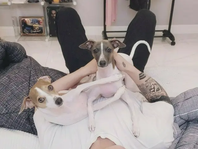 「BTS（防弾少年団）」ジョングク、かわいい愛犬たちと過ごす日常公開