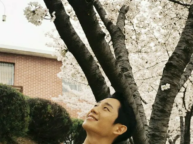 俳優チョン・ヘイン、桜の下で優しい笑顔…「BLACKPINK」ジスが撮った人生ショット公開!