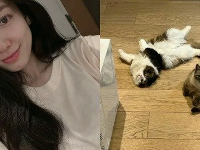パク・シネ、一緒に暮らし始めて家族が増えた…お腹の赤ちゃんまで7人
