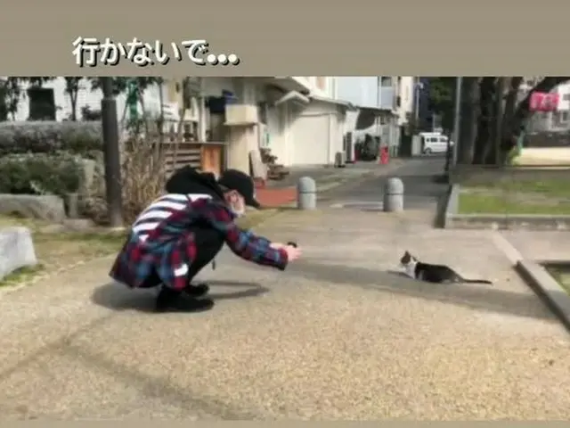 キム・ジェジュン、公園で出会った子猫ちゃんに…”行かないで”