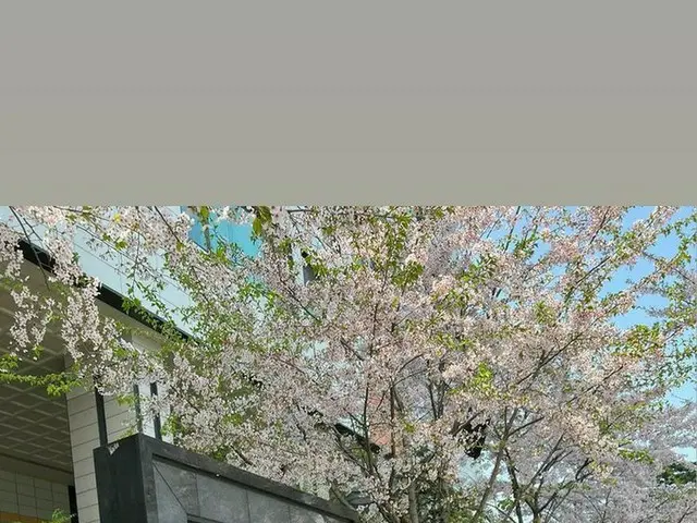 女優コン・スンヨン、妹ジョンヨン（TWICE）と愛犬たちとお花見おでかけ