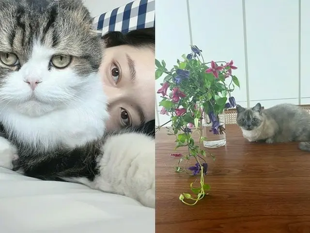 女優パク・シネ、愛する愛猫ときれいな花と一緒…”プレママ”の胎教法