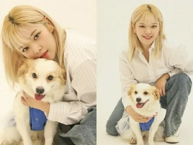 「TWICE」ジョンヨン、捨て犬・猫の為に後援カレンダー撮影「才能寄付に胸いっぱい」