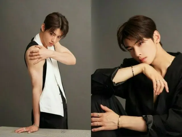 チャウヌ（ASTRO）、ビハインドカットでもAカット級…ビジュアルが幻想的