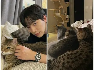 イ・ジュノ（2PM）＆パク・シネら、猫好きで有名な芸能人たち…8月8日は「猫の日」