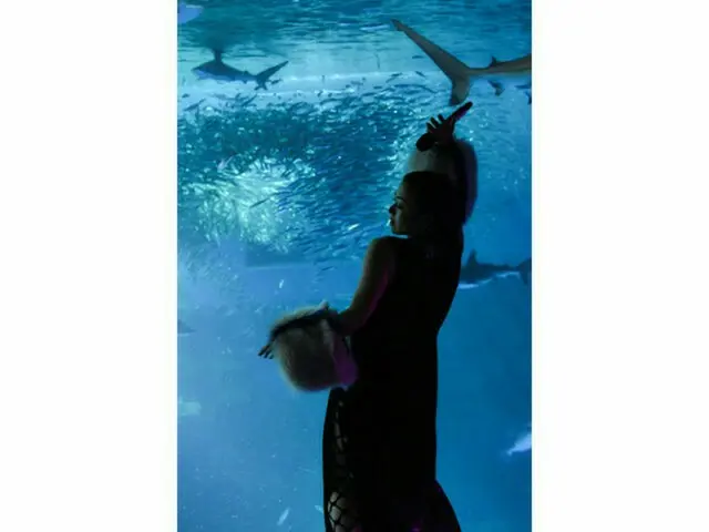 宇多田ヒカル 「Somewhere Near Marseilles ―マルセイユ辺りー　-LIVE at Sea Paradise」、縦型映像作品！