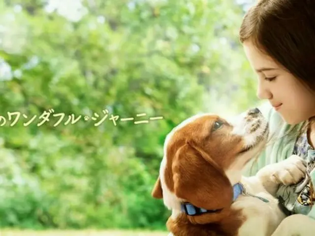 その犬は何度でも生まれ変わる！『僕のワンダフル・ジャーニー』地上波初放送