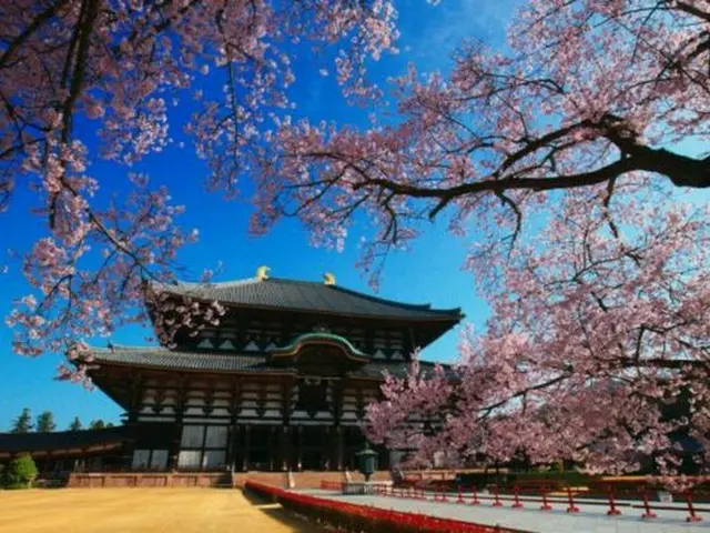 『世界遺産』古都奈良～東大寺の四季～東大寺の春夏秋冬を高精細８Ｋと４Ｋカメラで撮影！