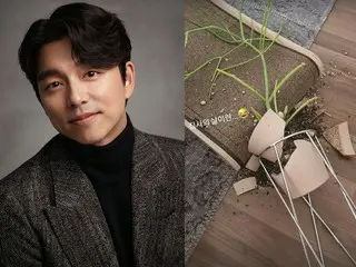俳優コン・ユ、こわれた植木鉢は2匹のうちどっち？…“猫執事人生とは”