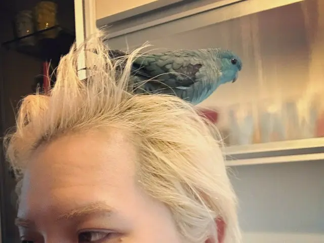 「WINNER」MINO、頭に鳥をのせ近況公開…“頭に鳥の巣作ったね”
