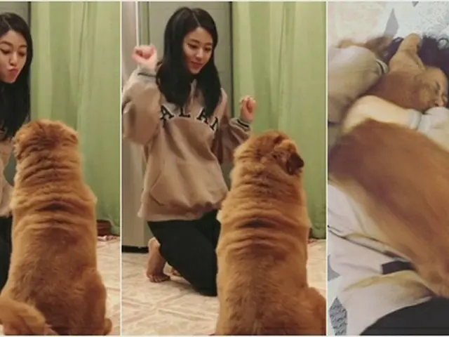 「AOA」ソリョンが全力で愛情をそそぐ、愛犬ドンチ♪