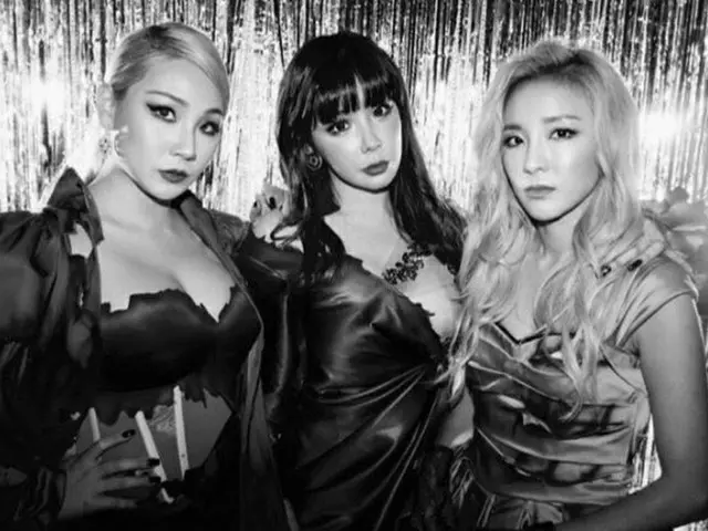 元「2NE1」サンダラ、思い出の写真を掲載し、涙を流す。