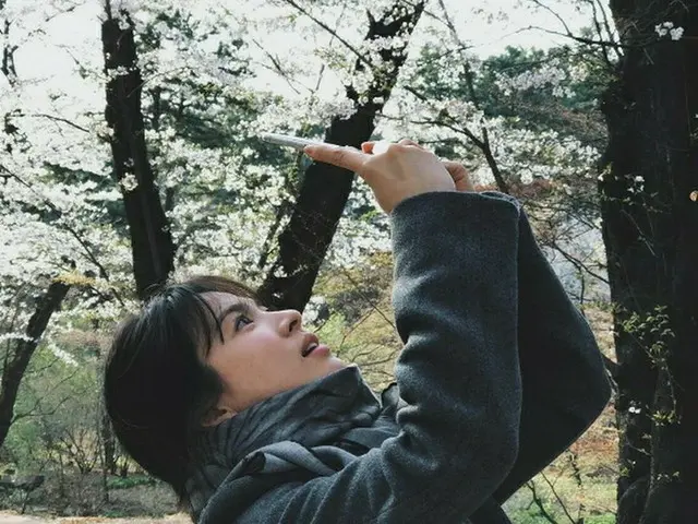 桜よりも視線が奪われるのは女神のようなソン・ヘギョ♡桜を写す横顔にドキッ！